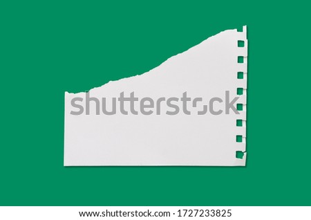 torn sheets of paper, close up of a white ripped piece of paper on green background with clipping path.