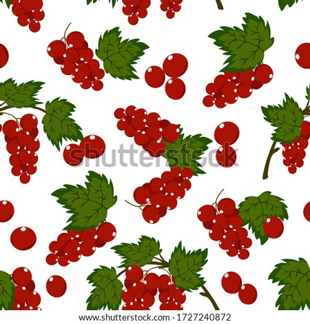 Vector pattern of red currant berries.Red currant berries on a white background in vector pattern.