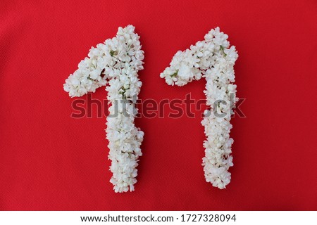 The number 11 is written in white lilac flowers on a red background. The number eleven is written in fresh flowers, isolated on red. Arabic numeral lined with flowers.