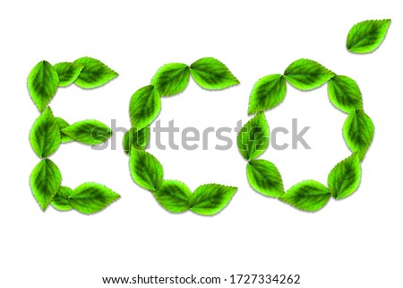 Eco text written with green leaves isolated on white background. Green life concept for banner.