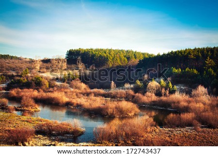 Landscape and forest and a small pond