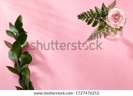 Real photo set of pink light background pp,  camera, rose. Mockup for presentations and portfolios. Top view angle.