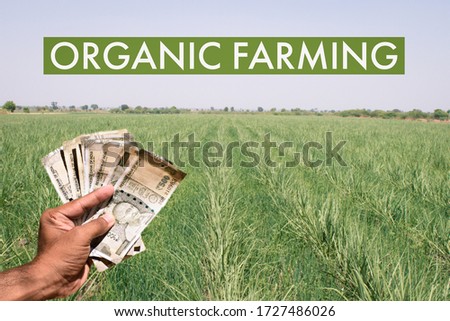 Concept of Profit or Income from Organic Farming.