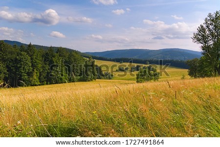 Summer landscape in the mountains. Golden Mountains. Sudetes. Czech Republic.