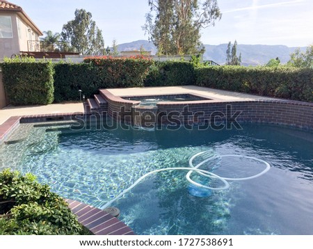 Backyard swimmimg pool modern design and landscaping on sunny day