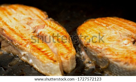 Fish salmon cuts being grilled in garden  Royalty-Free Stock Photo #1727572123