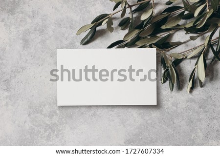 Moody feminine wedding stationery mock-up scene. Blank greeting, business card and green olive leaves, branches on grunge table background. Flat lay, top view. Mediterranean composition.