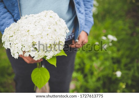 Hydrangeas in the hands of a young woman. Fashionable girl with flowers in her hands at the cottage in the garden. Stylish girl in the countryside