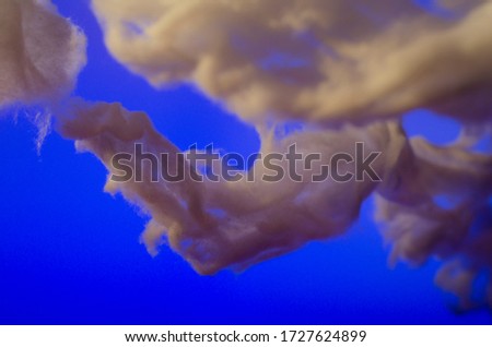 Colorful cotton clouds with blue sky in the background. Imagined by some texture or pattern.