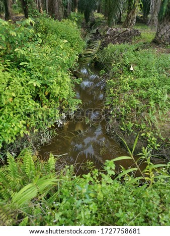 simple man-made drainage at the farm.