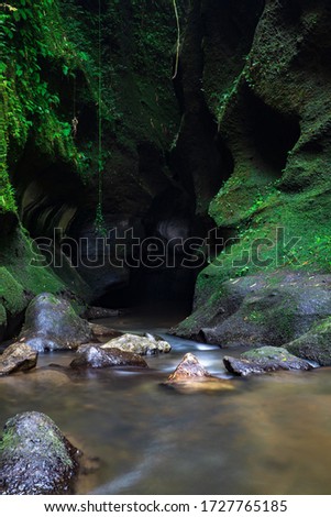 Tropical landscape. Hidden canyon in the jungle. River in rain forest. Water flow. Soft focus. Slow shutter speed, motion photography. Landscape background. Vertical layout. Bangli, Bali, Indonesia