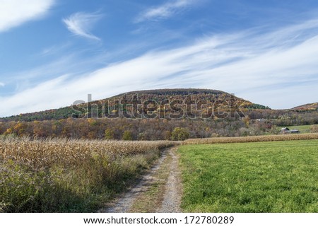 Foothills of the Catskill Mountains are seen in the background of this picture-pretty farm land in Schoharie, New York.
