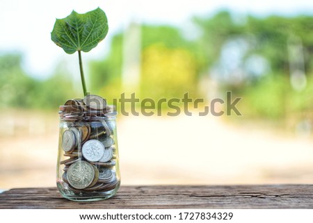 A coin in a glass bottle on a wooden floor - with green trees showing prosperity, frugality, business growth, natural light.