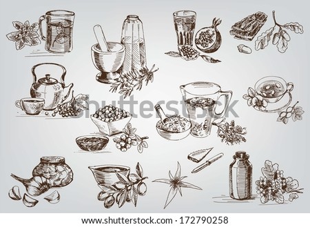 plants and herbs in folk medicine. set of vector sketches Royalty-Free Stock Photo #172790258