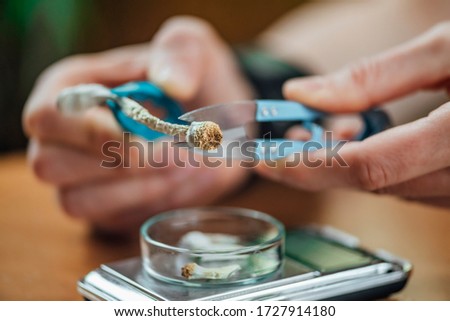 Micro Dosing Alternative Therapy. Cutting Magic Mushroom and Making Daily Doses Royalty-Free Stock Photo #1727914180
