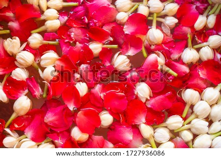 Rose petals and jasmine flowers on the surface of the water in the bowl, Songkran Festival Thailand, Close up rose petals and jasmine flowers.