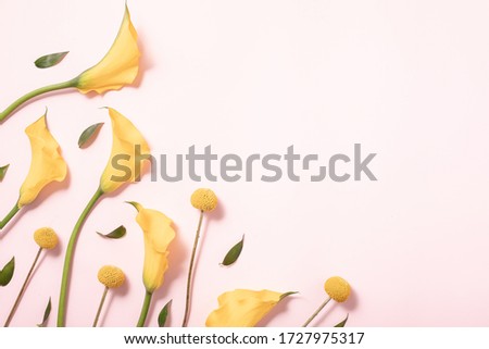 Summer concept. Border arrangement background. Flatlay, top view. Yellow flowers on pink background, flat lay