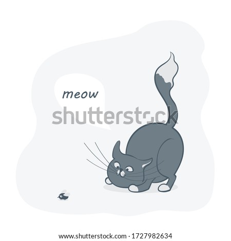 Vector illustration, a cartoon cute gray cat playing with a fly. Text meow.
