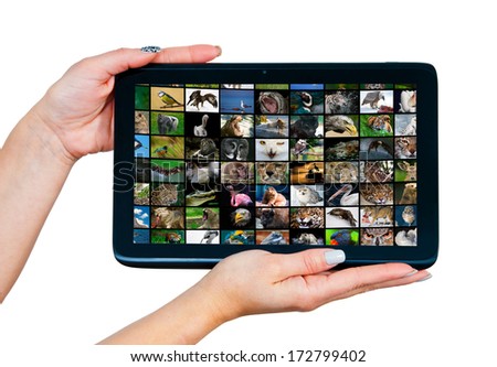woman hands holding tablet with animal pictures on the screen