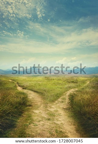 Road splitting in two ways. Fork in the road  Royalty-Free Stock Photo #1728007045