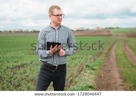 farmer on a pea field. Agriculture concept. The farmer works in the field. Vegan vegetarian home grown food production.