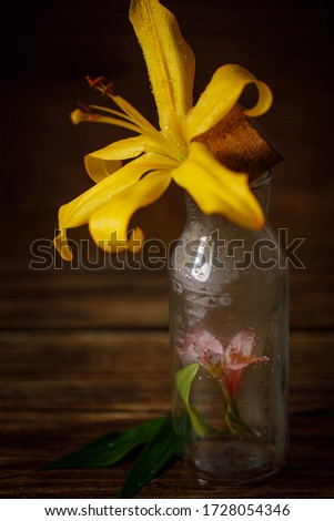 Spring is coming. Photo of magic props for calling the spring. Beautiful flowers. Wooden background