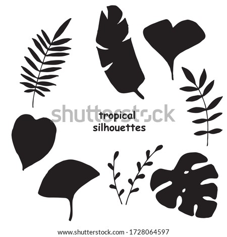 vector illustration. tropical set, silhouettes of leaves and branches. contours of palm leaves, ginkgo tree monstera. simple icons