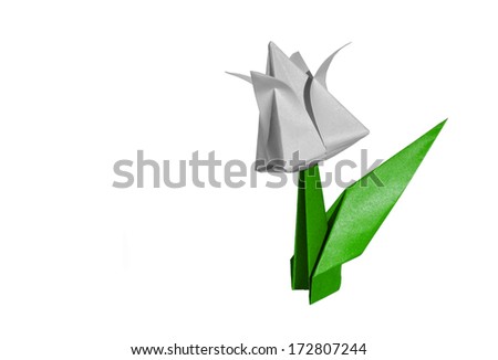Origami white flower, tulip, isolated on white