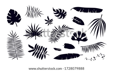 Stock vector set of tropical plant leaf silhouettes. Black print on white backdrop