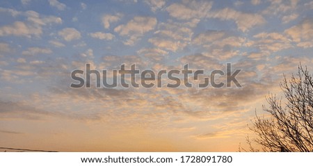 beautiful cloudy sky at sunrise, gray-white bright clouds on a blue sky, fluffy summer clouds