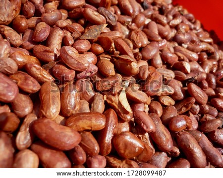 Pre-cooked red kidney beans from Kenya, Africa. The beans were being dried under the sun. The dried beans are important ingredients or raw material for healthy porridge production.