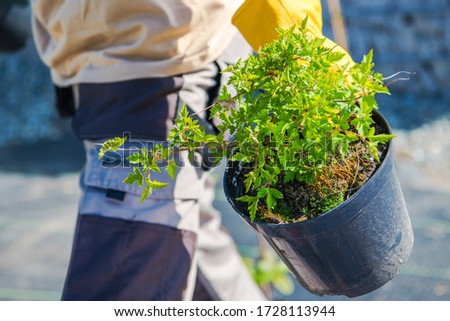 Close up Of Male Landscape Contractor Holding Plant In Pot.  Royalty-Free Stock Photo #1728113944