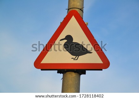 Duck crossing warning road sign - Beware of the ducks crossing