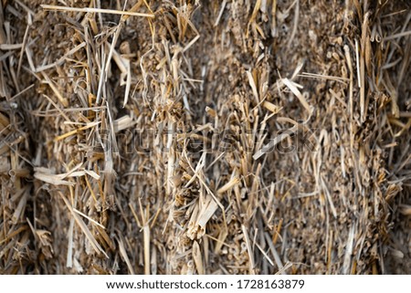 Blurred picture of straw for background