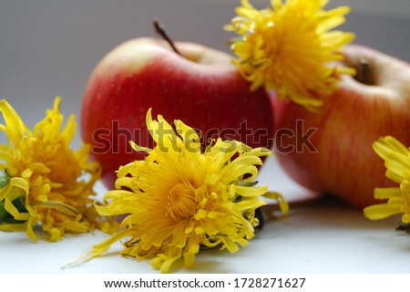 yellow dandelion and red apples
