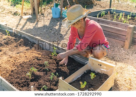 Attractive woman making gardening on a sunny day with a beautiful hat. Eco earth day concept. Eco friendly. Save the planet. Gardening concept. Make your own orchard. 