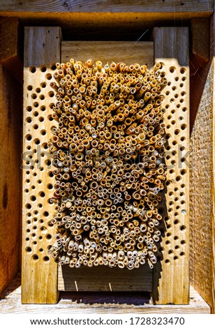 typical insect hotel - wooden  - photo
