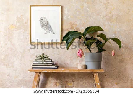 Interior design of living room with mock up photo frame, plants, wooden bench, books, air plant and elegant personal accessories in modern home decor.
