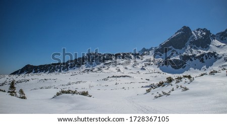 View of snowy Gąsienicowa Valley  - winter center of skiing and climbing  in the Tatra Mountains - in a sunny day, blue sky, no clouds
