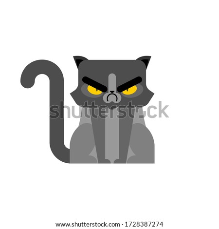 Grumpy Cat isolated. Angry pet. vector illustration