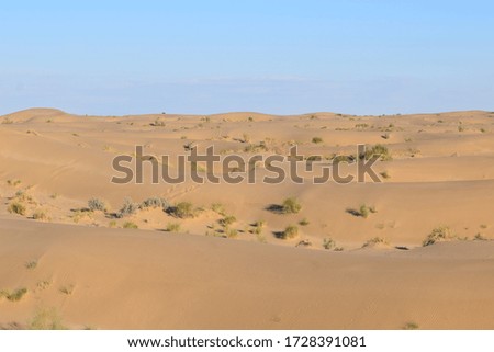 sahara desert the South algeria