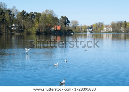Russian nature. Beautiful small lake landscape photo.