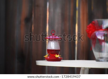 hummingbird drinking nectar and glass jug On a table.prrris, California .