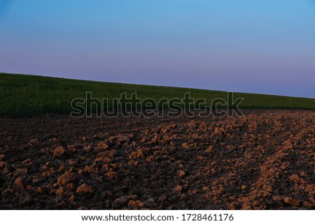 Central Bohemian agricultural country side. High blue sky. Tractor tracks in the fresh green field. Empty space of early spring. Blue, green and brown natural season colors.