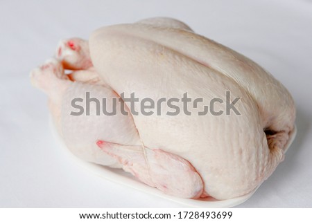 Raw chicken on neutral background