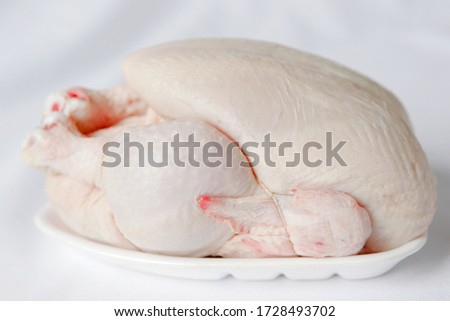 Raw chicken on neutral background