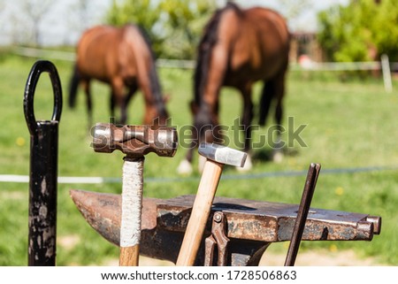 Farrier work tools: anvil, pincers, hammer and horseshoe. In the background two horses grazing on a green meadow. Royalty-Free Stock Photo #1728506863