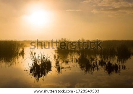 Marshes of Donana National Park in Andalusia Autonomous Community of Spain in Europe