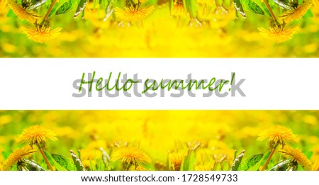 Hello summer banner. Text on photo with dandelions. Yellow dandelions. New season. Summer picture with flowers