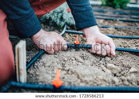 Irrigation system on the site. Hands attach a hose to a tap . horizontal shot, selective focus, close-up Royalty-Free Stock Photo #1728586213